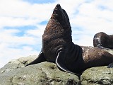 Photo_0085634_Canon_G12