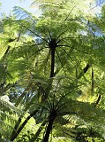 Photo_0085732_Canon_G12