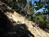 Photo_0085776_Canon_G12