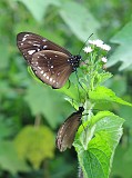 Photo_0086384_Canon_G12