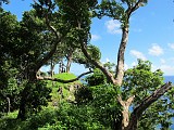 Photo_0086398_Canon_G12