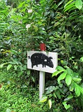 Photo_0086442_Canon_G12