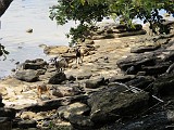 Photo_0086544_Canon_G12