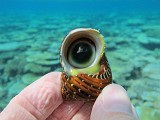 Photo_0086658_Canon_G12