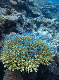 Photo_0087100_Canon_G12