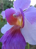 Photo_0087289_Canon_G12