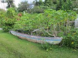 Photo_0087496_Canon_G12