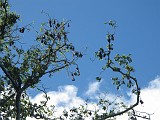Photo_0088204_Canon_G12