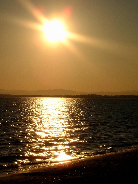 Photo_0000496