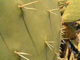 Photo_0000492