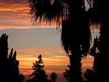 Photo_0000541