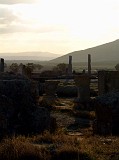 Photo_0000604