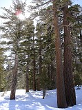 Photo_0019743_Sony_dsc-w1