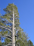 Photo_0019831_Sony_dsc-w1