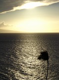 Photo_0020128_Sony_dsc-w1